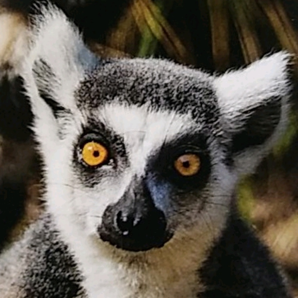 Meet your Posher, Mya